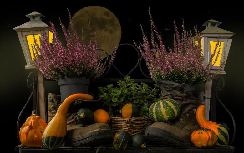 Free stock image of Autumn Mood created by Pixabay