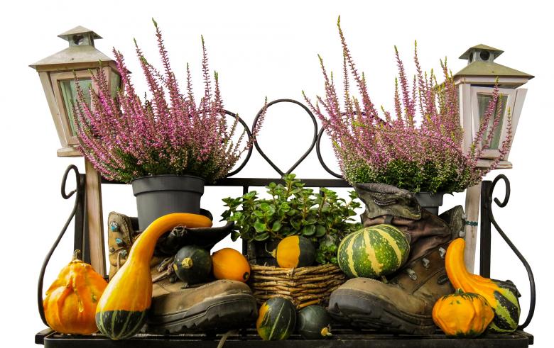 Free stock image of Autumn Mood created by Pixabay