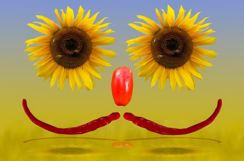 Free stock image of Blooming Sunflower created by Pixabay