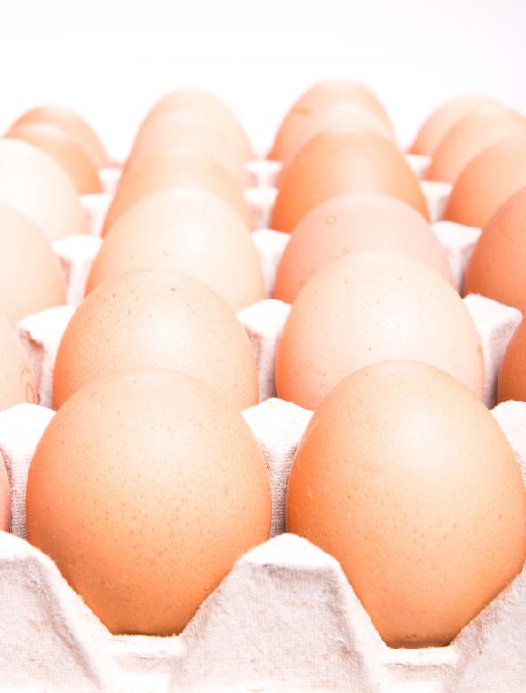 Free stock image of eggs  created by 2happy