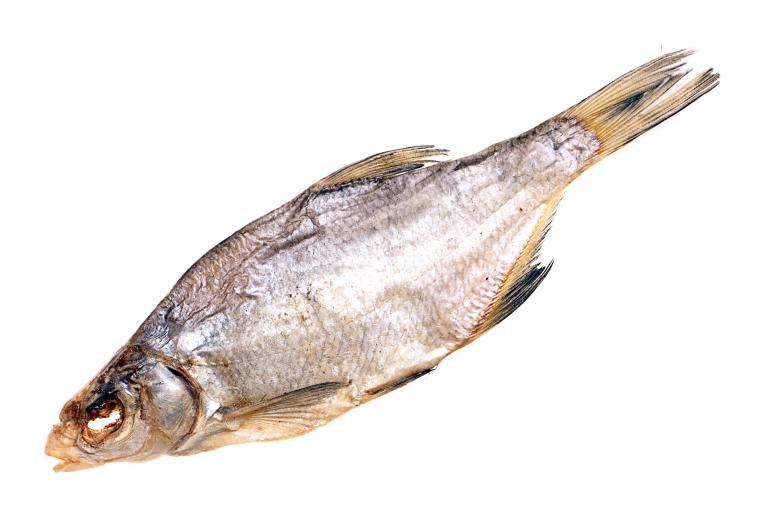 Free stock image of dried fish created by 2happy