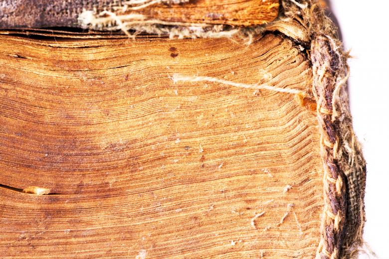 Free stock image of old book pages created by 2happy