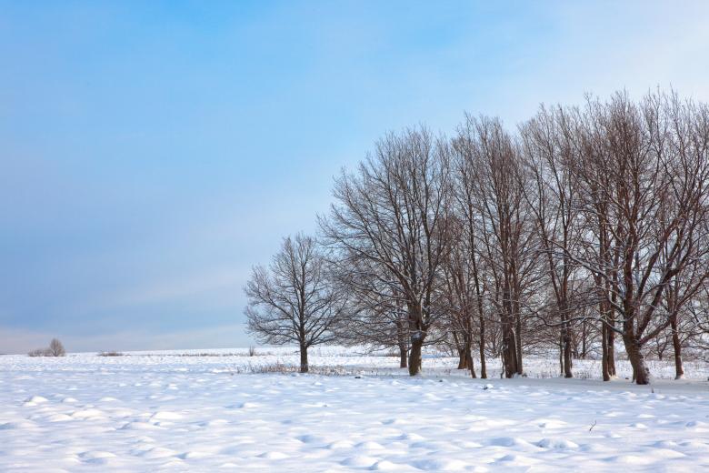 Free stock image of Winter morning created by 2happy