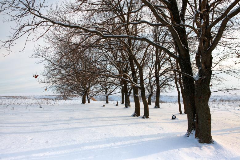 Free stock image of Winter morning created by 2happy