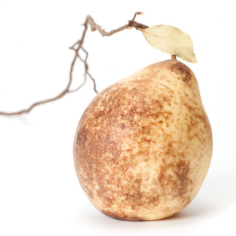Free stock image of pear created by 2happy