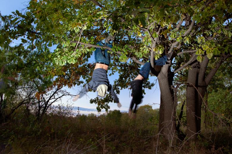 Free stock image of Friends On Tree created by 2happy