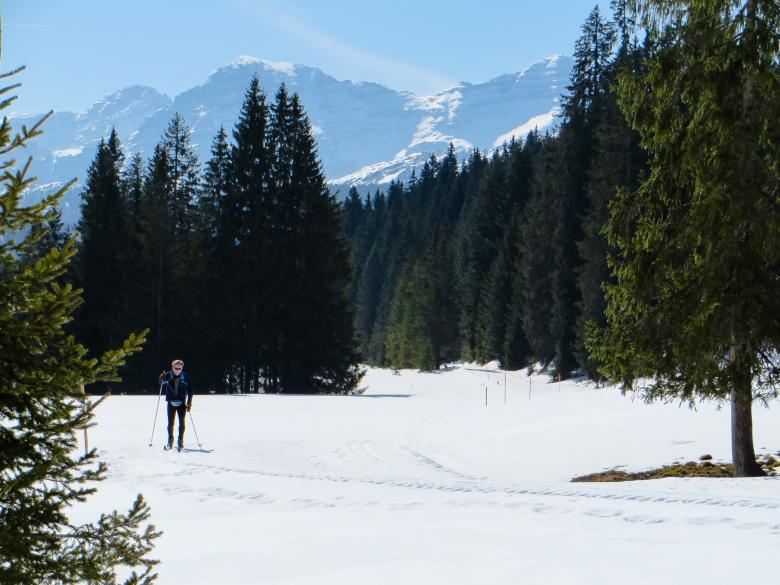 Free stock image of Skiing Track created by Pixabay