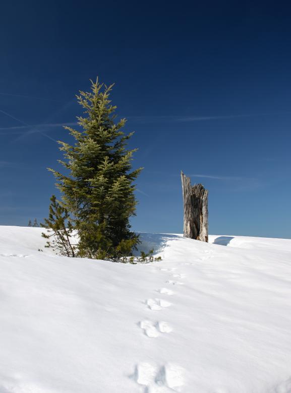 Free stock image of Frozen Route created by Pixabay