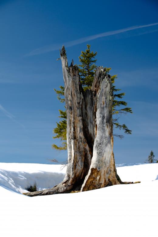 Free stock image of In Winter created by Pixabay