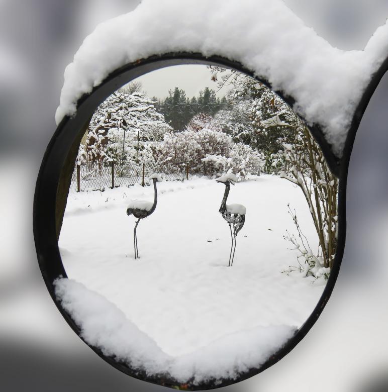 Free stock image of In Winter created by Pixabay