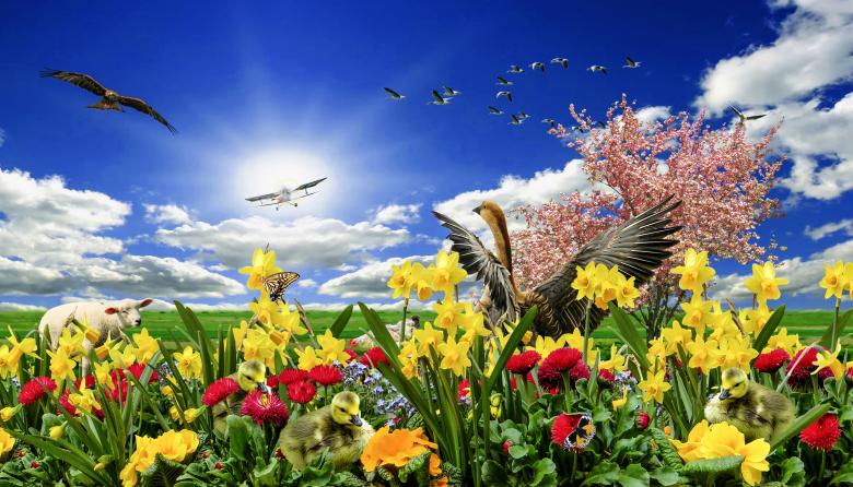 Free stock image of Spring Meadow created by Pixabay