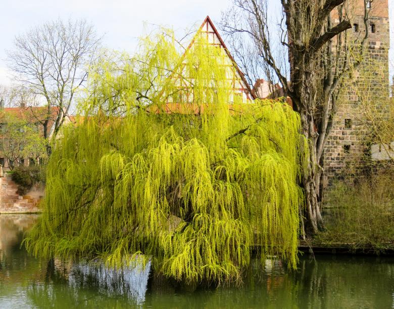 Free stock image of In Nuremberg created by Pixabay