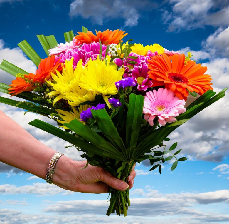 Free stock image of Flowers in the Garden created by Pixabay