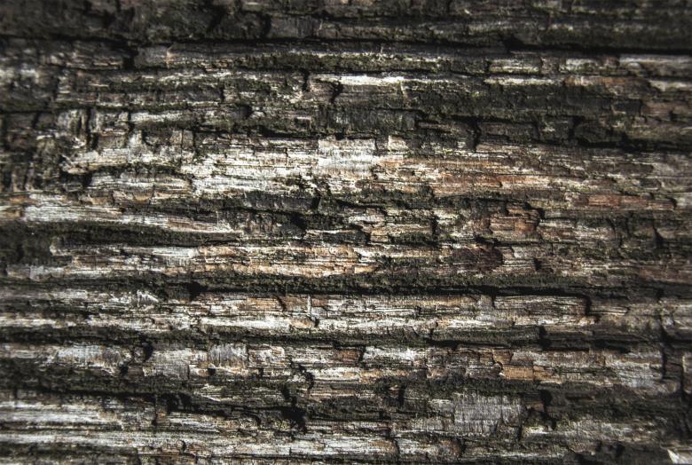 Free stock image of Wood texture created by Alen