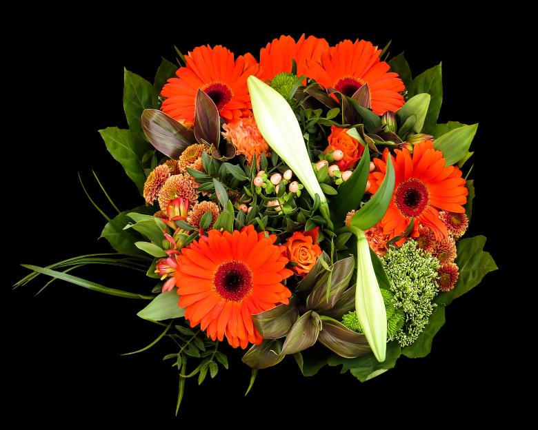Free stock image of Birthday Bouquet created by Pixabay
