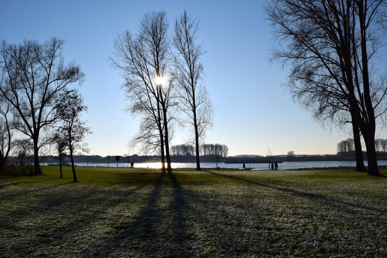 Free stock image of In the park created by Pixabay