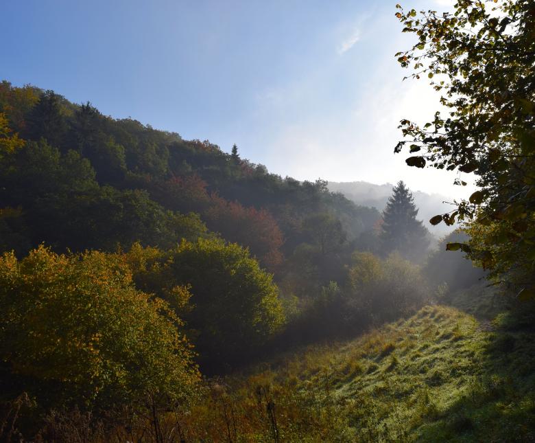Free stock image of In Autumn created by Pixabay
