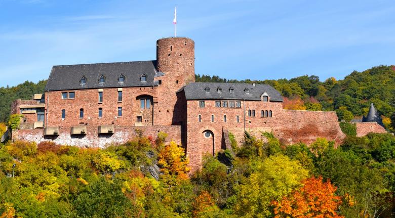 Free stock image of Wild Castle created by Pixabay