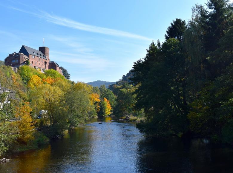 Free stock image of Castle on Top created by Pixabay