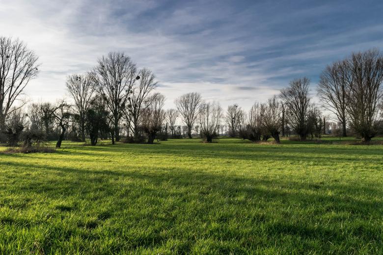 Free stock image of Pasture created by Pixabay