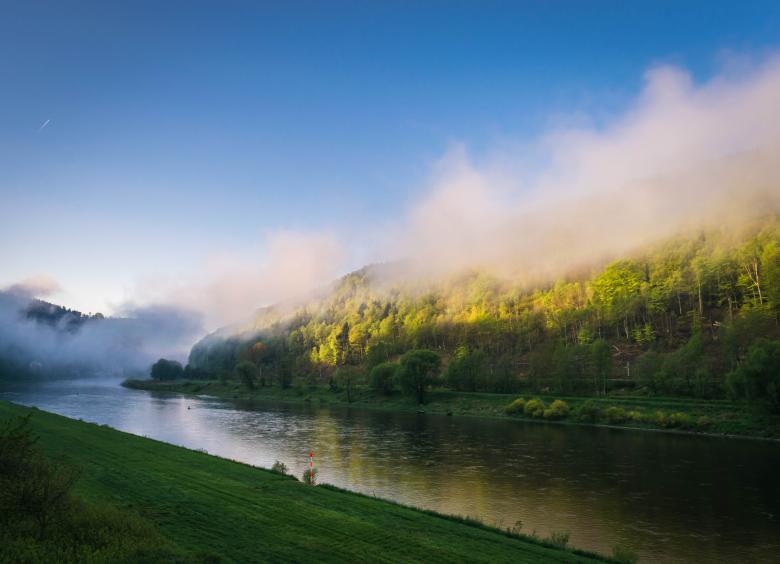 Free stock image of Smoky Nature created by Pixabay