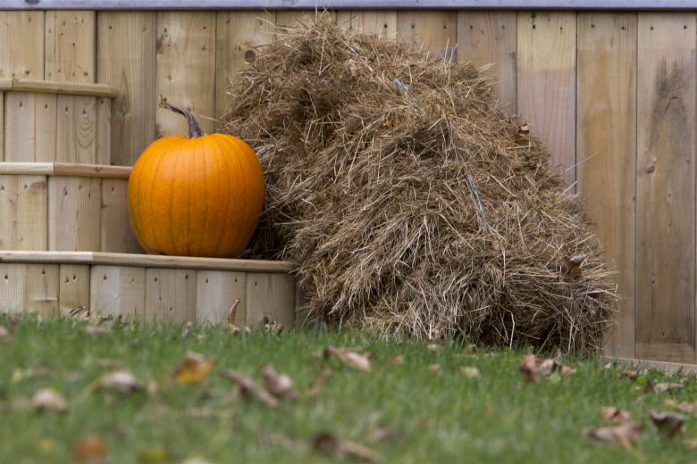 Free stock image of Pumpkin and Hay created by Geoffrey Whiteway
