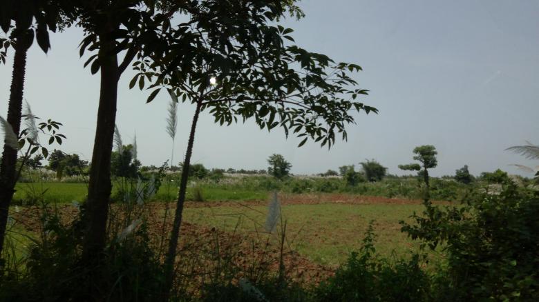 Free stock image of In the Field created by k sangeeta
