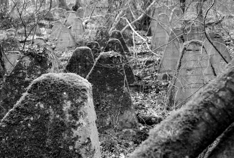 Free stock image of Siegfried Line Aachen created by Pixabay