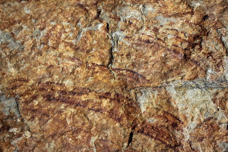 Free stock image of Stone Texture created by Pixabay