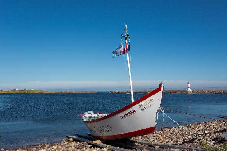 Free stock image of Dory created by Geoffrey Whiteway