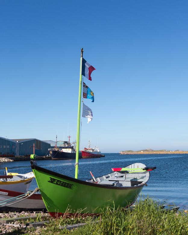 Free stock image of Dory created by Geoffrey Whiteway