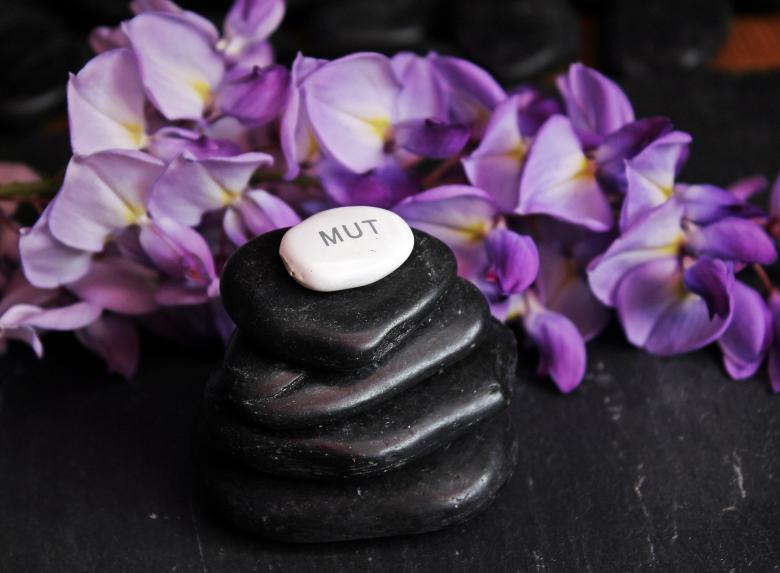 Free stock image of Pebble Balance created by Pixabay