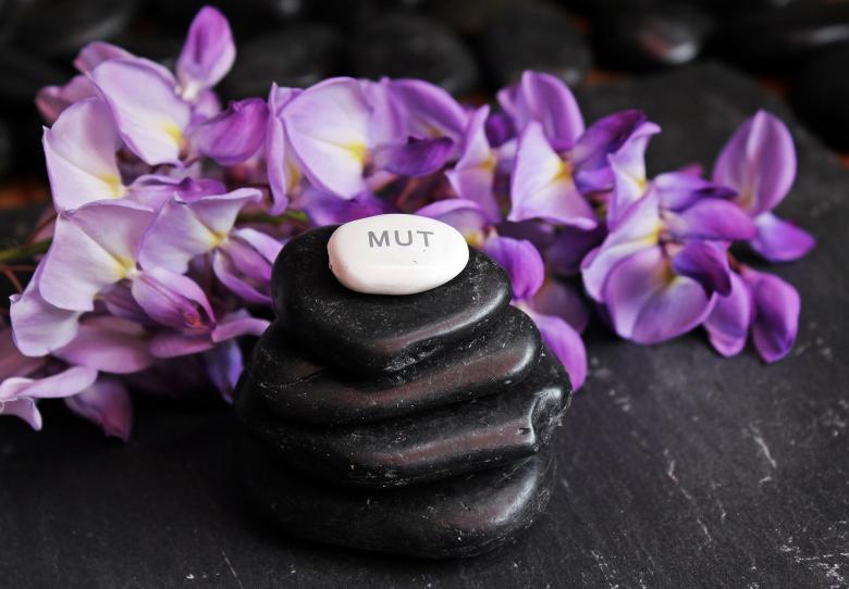 Free stock image of Pebble Balance created by Pixabay