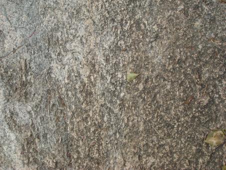 Rock Texture - Free Stock Photo