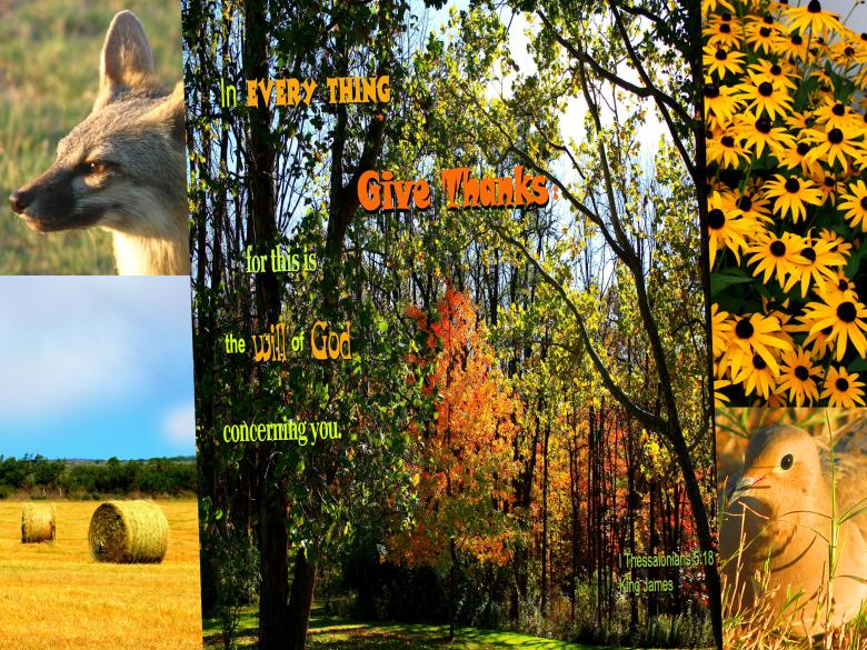 Free stock image of Give Thanks created by DFNatureAwed