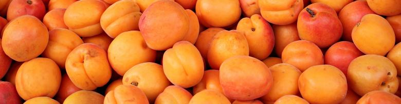 Free stock image of Fresh Apricots created by Pixabay