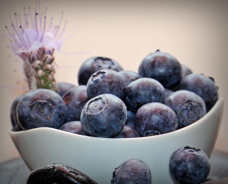 Free stock image of Blue Berries created by Pixabay