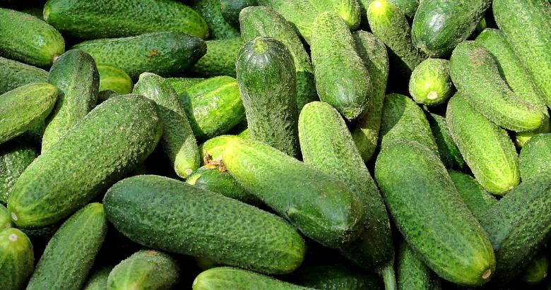 Free stock image of Fresh Cucumbers created by Pixabay