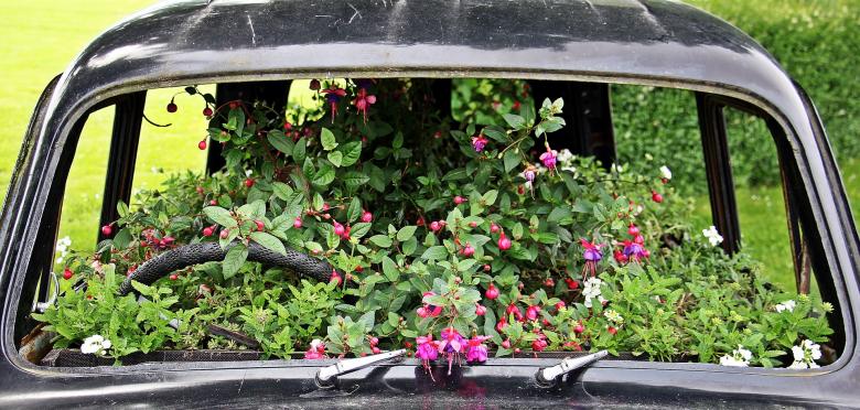 Free stock image of Auto Garden created by Pixabay