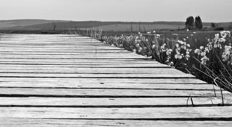 Free stock image of Wooden Area created by Pixabay