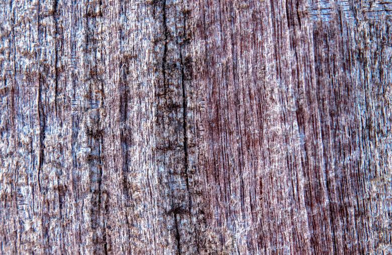 Free stock image of Wood texture created by Alen