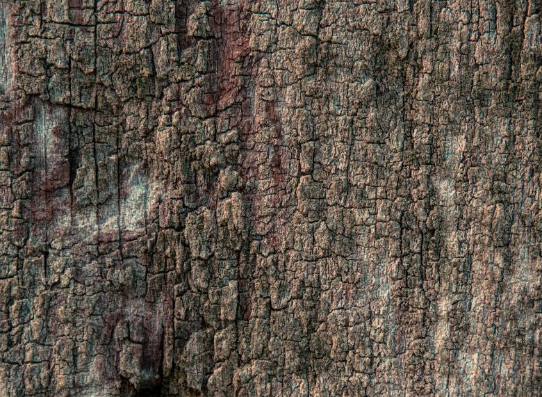 Free stock image of Wood texture created by Alen