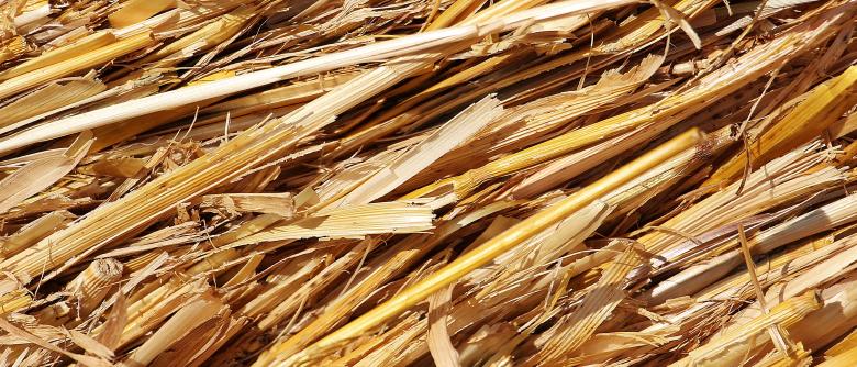 Free stock image of Straw Role created by Pixabay