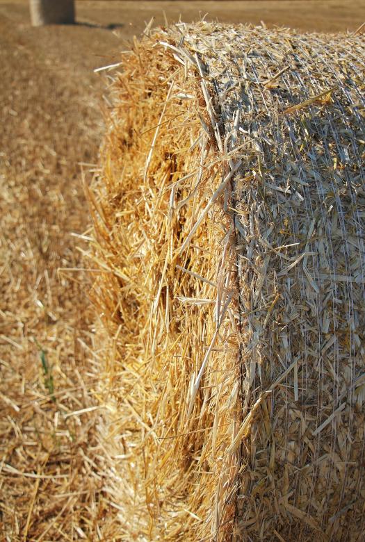 Free stock image of Straw Role created by Pixabay
