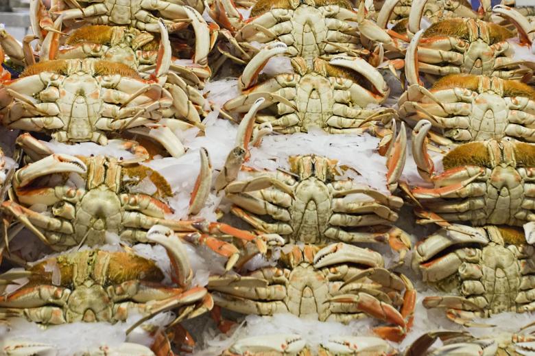 Free stock image of Fresh crab created by Geoffrey Whiteway