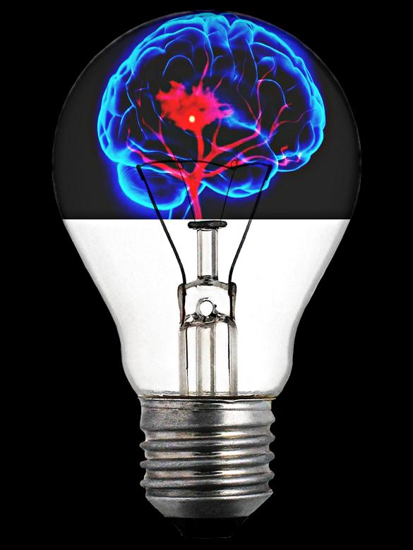 Free stock image of Light Bulb with Brain created by Pixabay