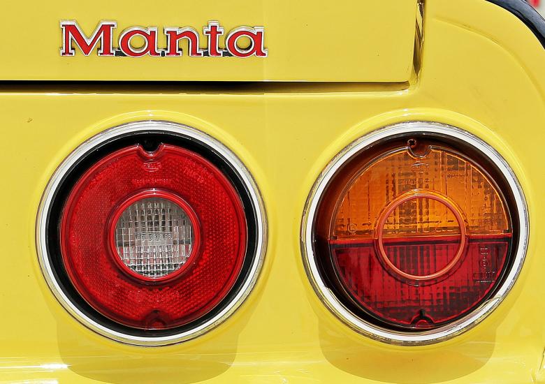 Free stock image of Manta created by Pixabay