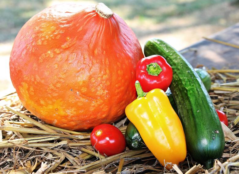 Free stock image of Thanksgiving Day created by Pixabay