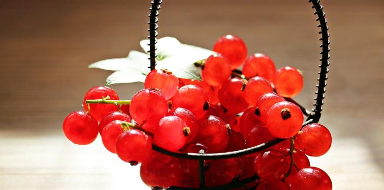 Free stock image of Fresh Currants created by Pixabay