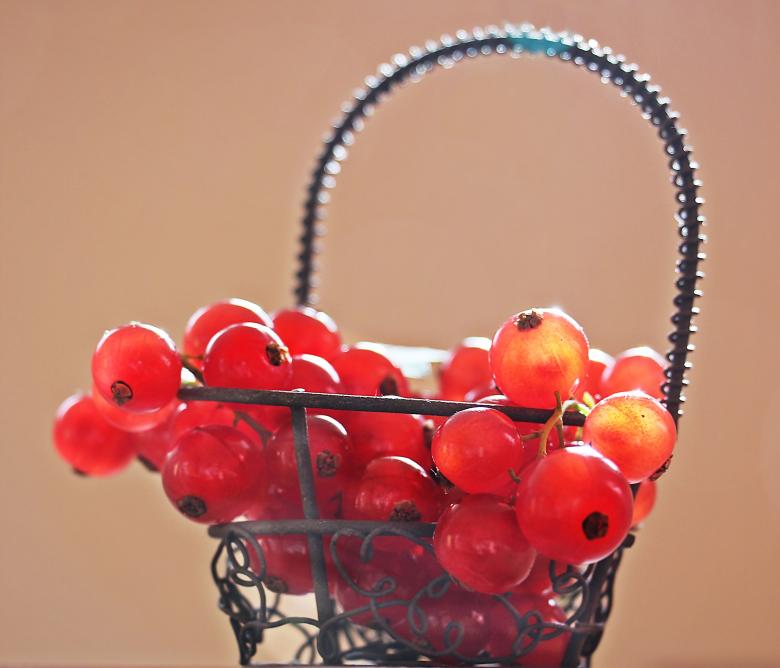 Free stock image of Fresh Currants created by Pixabay